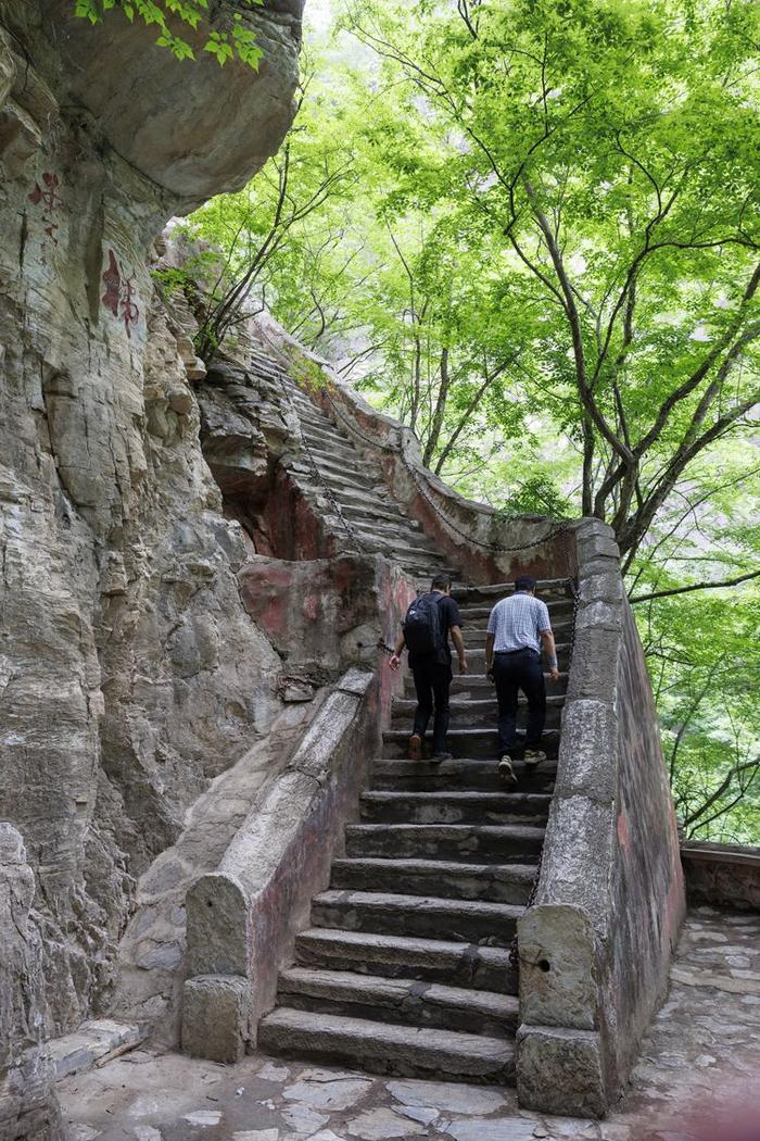 珍稀植物频现，北京房山上方山静候更多“新成员”