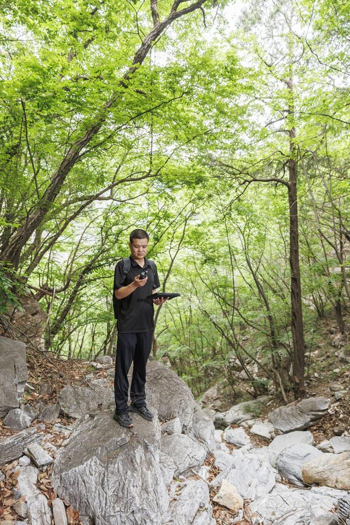 珍稀植物频现，北京房山上方山静候更多“新成员”