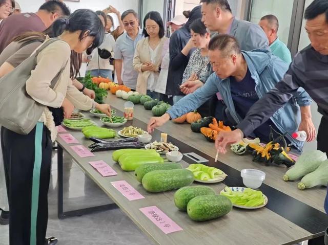 先睹为快，奉贤蔬菜品种上新啦！