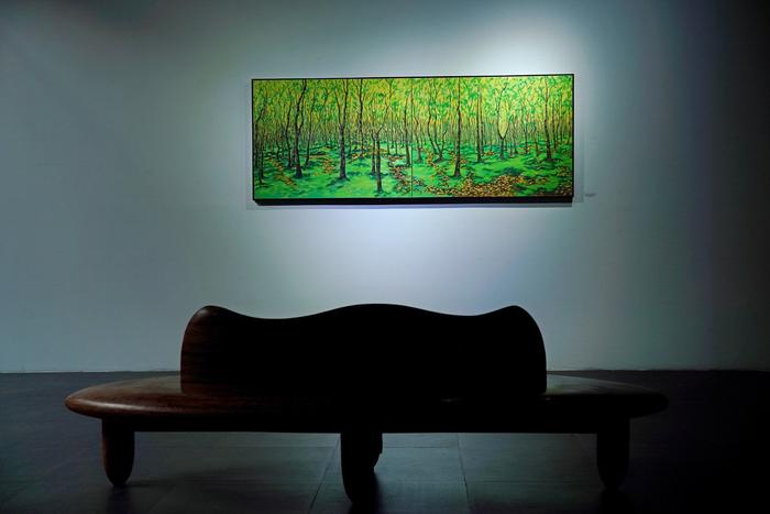 讲述世界各地“树的故事”，爱尔兰艺术家倪芙瑞莲作品在蓉展出