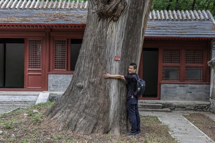 珍稀植物频现，北京房山上方山静候更多“新成员”