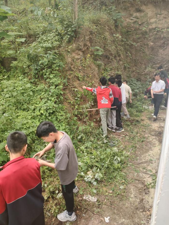 西峡县军马河镇第二初级‬中学 开展劳动实践活动  劳动教育双丰收