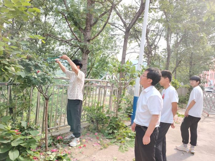 西峡县军马河镇第二初级‬中学 开展劳动实践活动  劳动教育双丰收