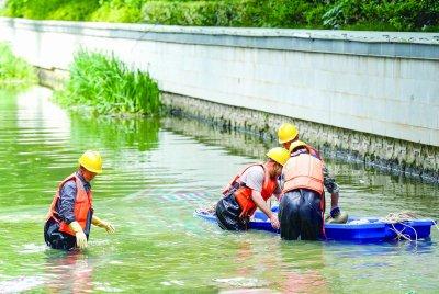 河道施工“不打扰” 珍珠河鸳鸯“不怕人”