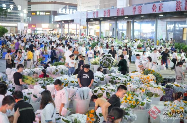 中国国际花卉园艺展览会开幕 云南呈贡担纲推介嘉宾