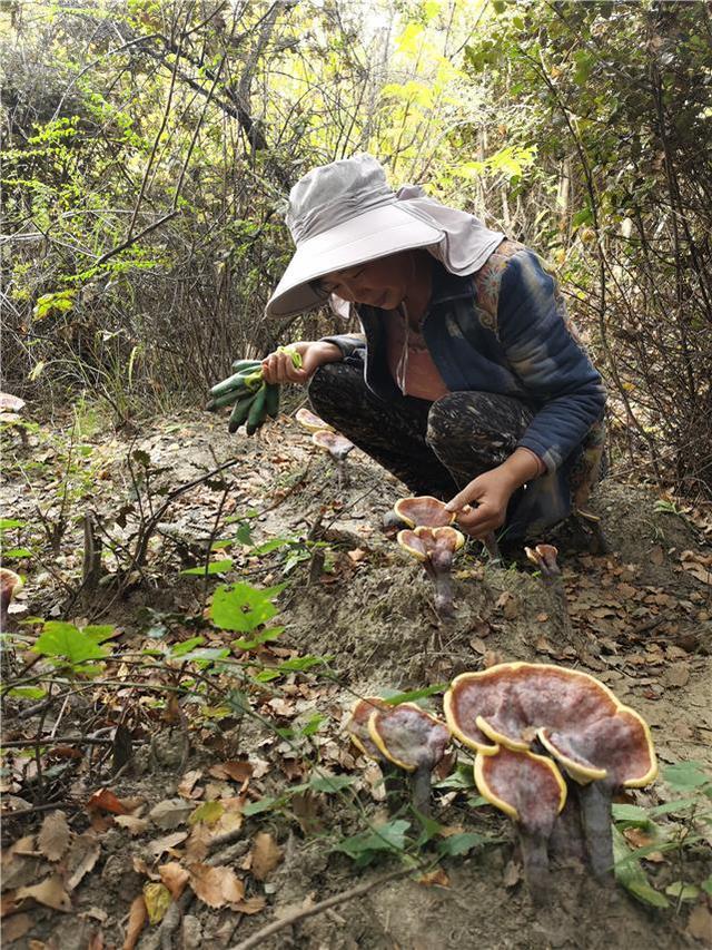 莞香花开 林芝芬芳——广东省东莞对口帮扶西藏林芝市巴宜区纪实