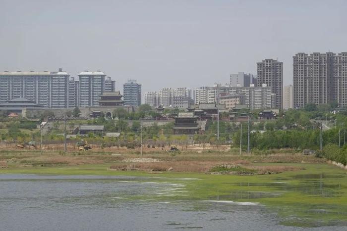 山西运城，“死海”边的决断