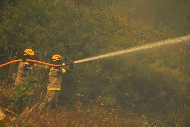 致137人死亡，智利旅游胜地大火竟是人为：消防员纵火，林业官主谋！警方：决定逮捕！总统：十多年来最严重灾难