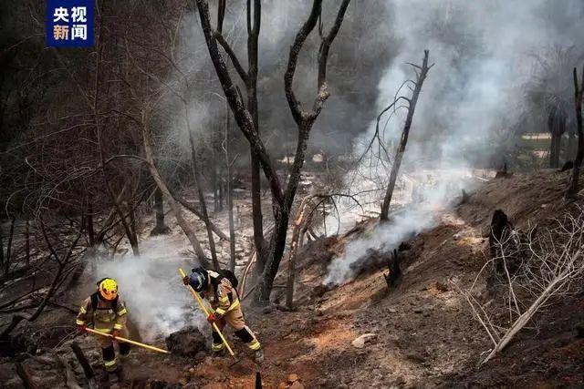 致137人死亡，智利旅游胜地大火竟是人为：消防员纵火，林业官主谋！警方：决定逮捕！总统：十多年来最严重灾难