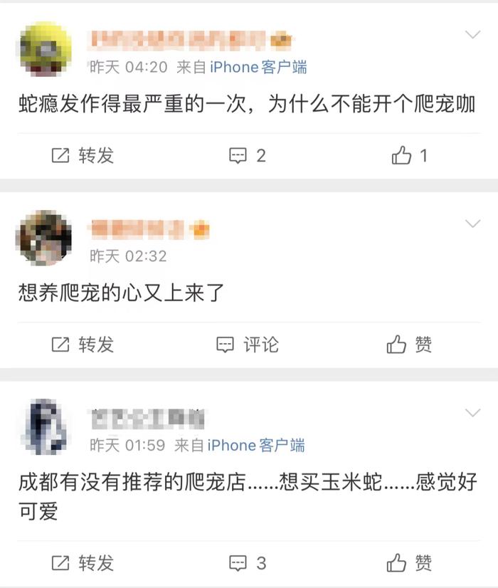 章子怡被拍到带儿女去了这里……丽水人：接受程度有限