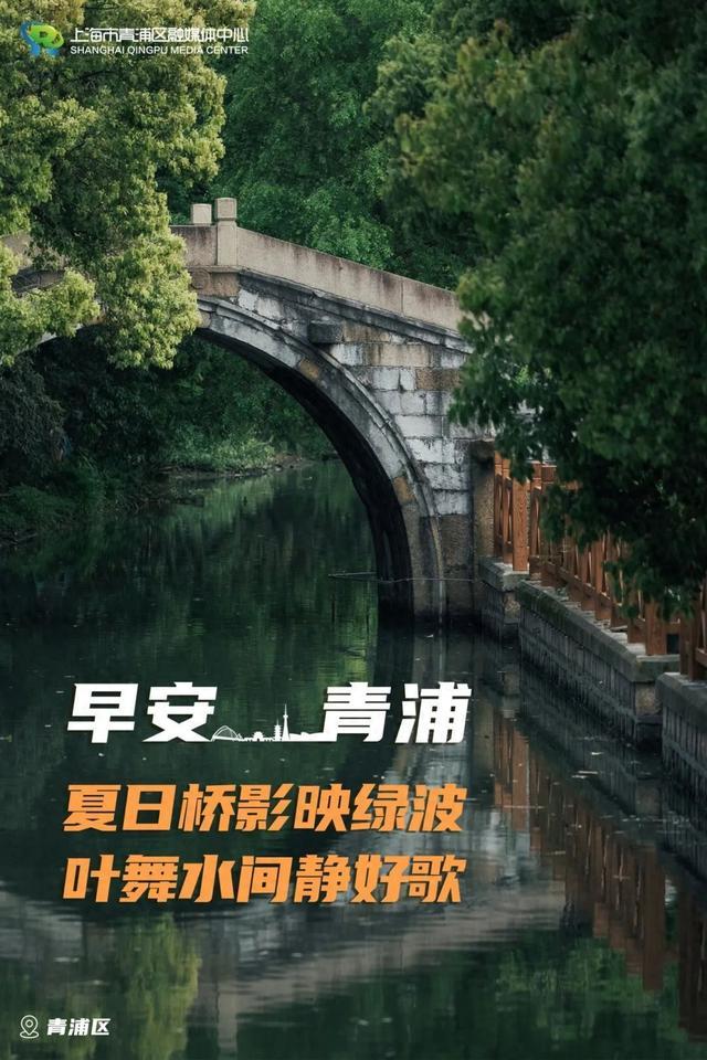 早安青浦｜夏日桥影映绿波，叶舞水间静好歌