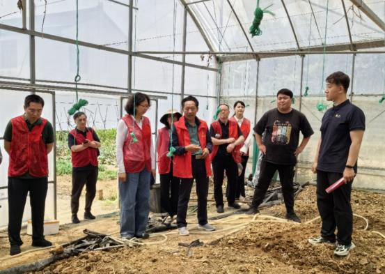 南京市蔬菜科学研究所与桠溪街道新墙村开展党建共建活动