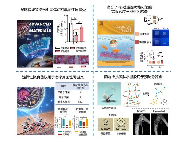 中国科学院理化技术研究所等在抗菌肽研究中获进展