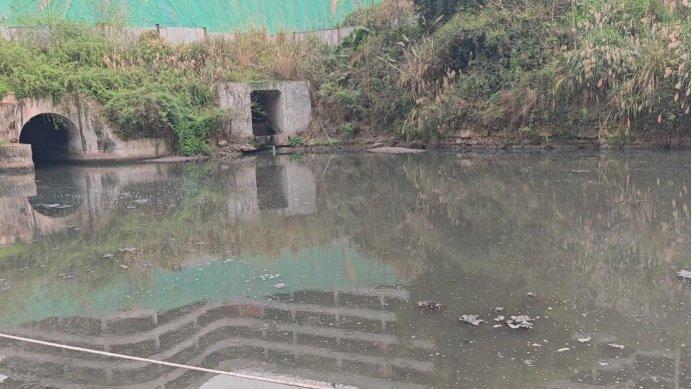 重庆市生活污水处理能力不足 一些地方仍然存在污水溢流问题