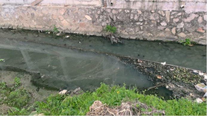 江西省城市生活污水收集和处理问题突出