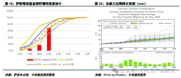 油脂 · 棕榈油产量恢复兑现，菜豆天气题材渐行渐近