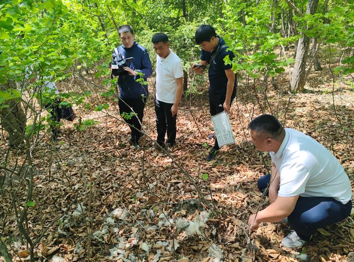 东北虎豹国家公园区域野生动物损害保险补偿显成效