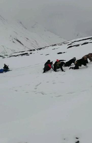 ▲救援人员雪山跪地转运遇难者下山 视频截图