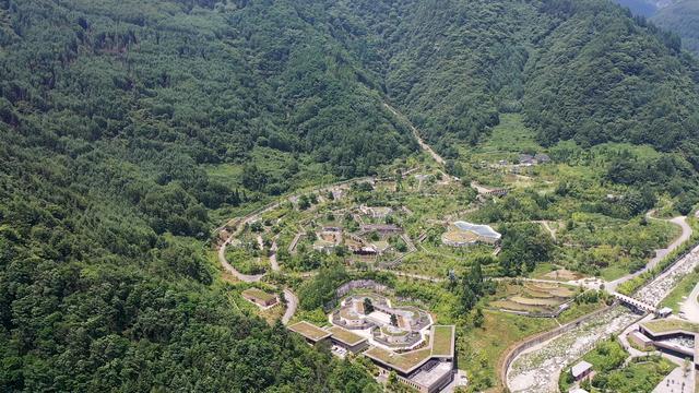 探班神树坪基地 走近“福宝”的居家日常