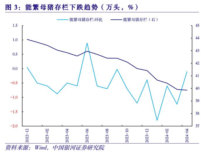 【中国银河宏观】物价高频数据周报：二育冲击短期供应节奏