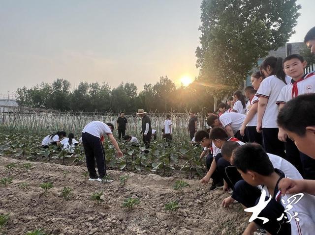 学科融合接地气，乡村学校上课有特色