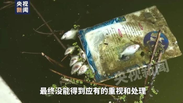 长江支流恶臭熏天、鱼虾死亡！官员用茅台打比方称水质检测“没有必要”