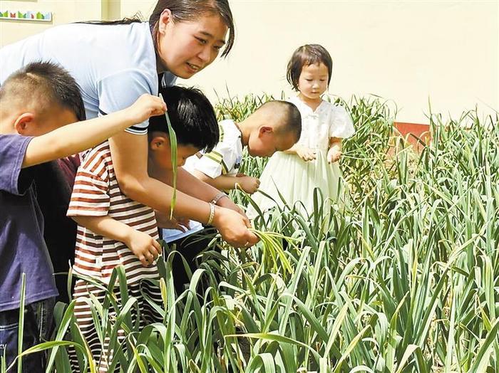 霸州岔河集中心小学附属幼儿园 开展创新实践活动