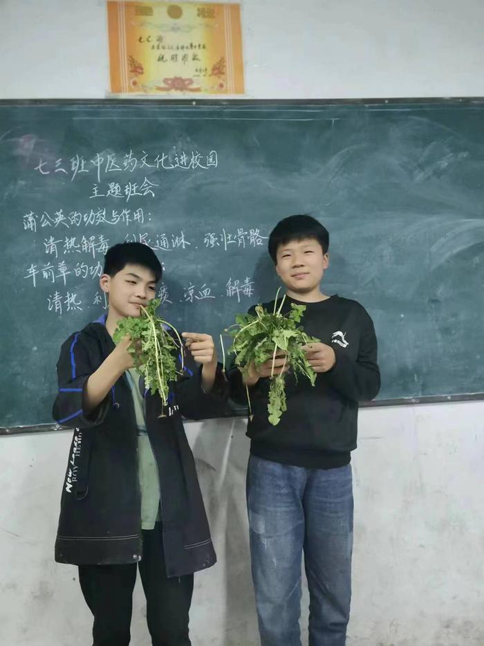 新野县樊集乡初级中学开展中医药文化进校园主题活动