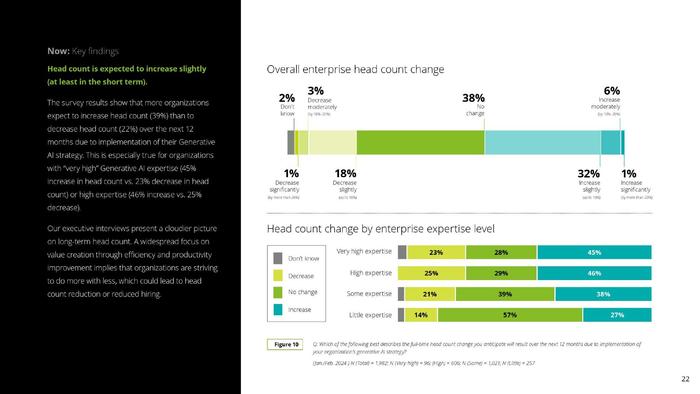 Deloitte：2024年Q2企业生成式人工智能报告