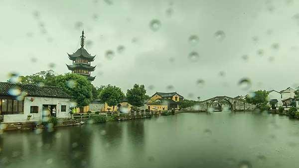 夜读｜张为民：雨润烟光