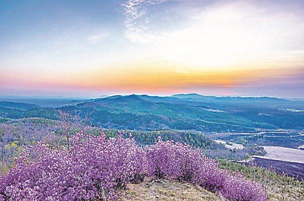 绿水青山织锦绣 生态伊春好“钱”景