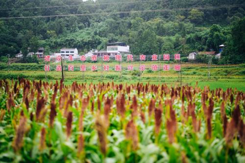 复星、政府双向赋能，舍得酒业坚定践行“老酒战略”实现“四大跨越式发展”