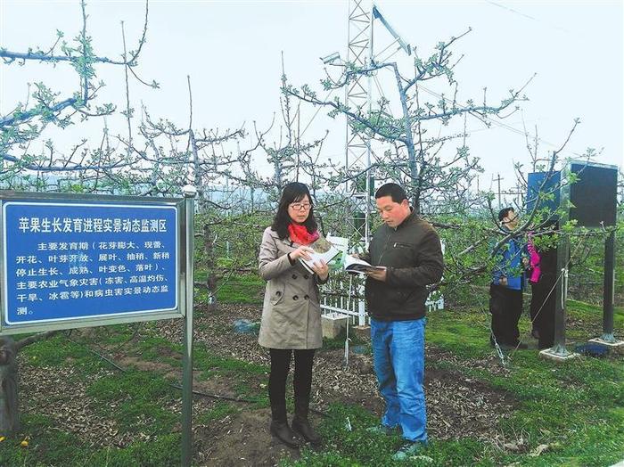 浪漫的气象人——记天水市气象局首席专家姚小英