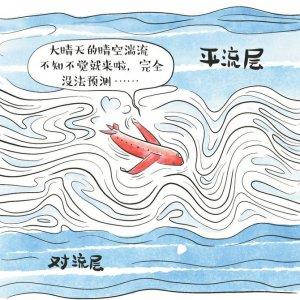 客机遇上湍流怎么办？