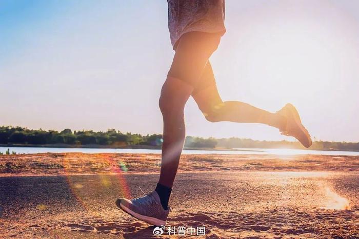 图库版权图片,转载使用可能引发版权纠纷
