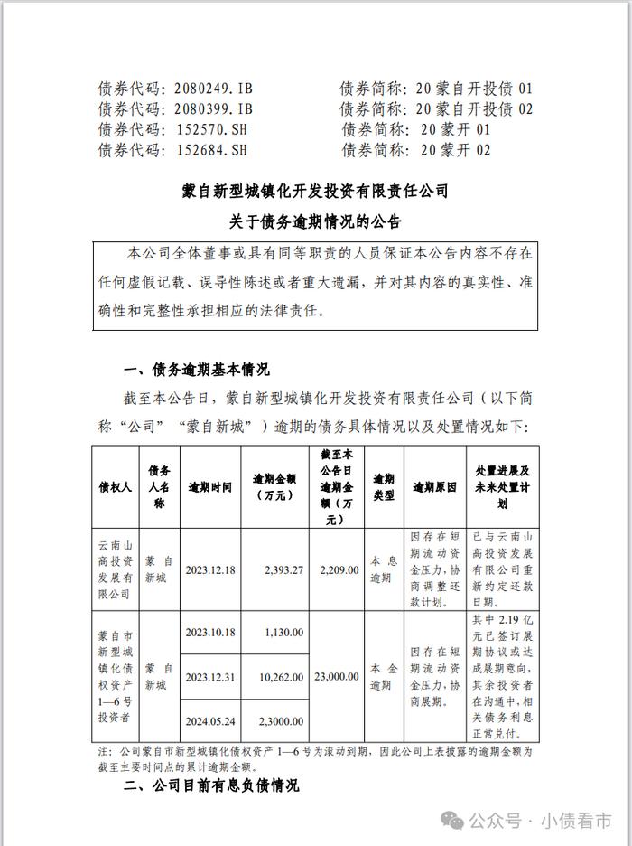 “蒙自新城”2.52亿债务逾期，此前被列入失信被执行人名单