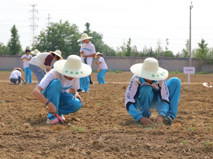 500名大中小学学生在北京农学院实践基地同上一堂耕读教育课