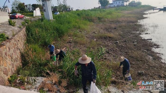 从“垃圾满地”到“清新如画” 村民共护鄱阳湖岸线焕新颜