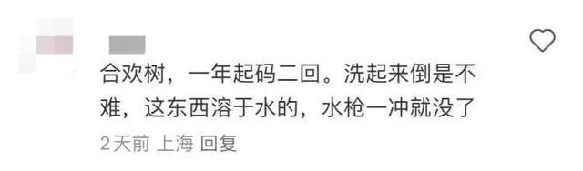 受不了了！上海近期高发！地上、车上全都黏糊糊！有人急着花钱“精洗”，结果发现……