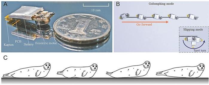 从海豹动作中汲取灵感 哈工大（深圳）团队研发出1.2克微型爬行机器人