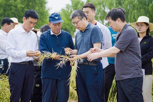 甘肃省旱寒区冬油菜扩面积提产能观摩会在镇原县召开