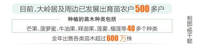 白沙与海垦龙江垦地联动打造两千五百亩“苗木超市”，延伸苗木产业链条