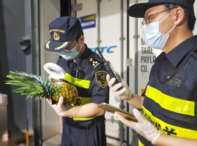 泰国榴莲空港进口翻倍了！巴拿马金菠萝、厄瓜多尔麒麟果“输华首站”选对上海