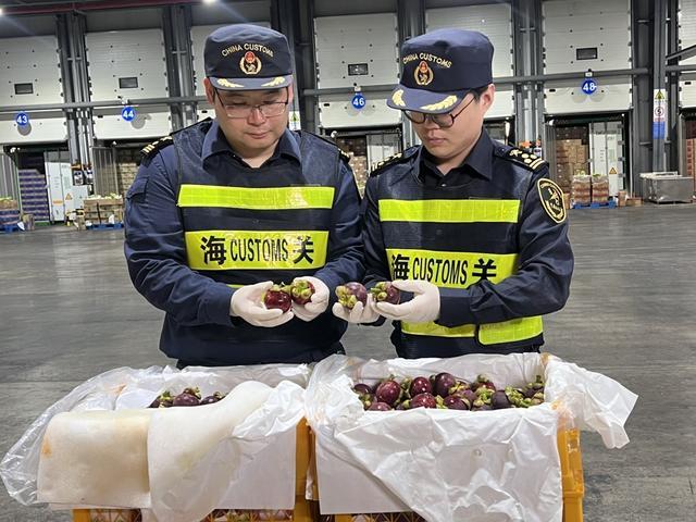 泰国榴莲空港进口翻倍了！巴拿马金菠萝、厄瓜多尔麒麟果“输华首站”选对上海