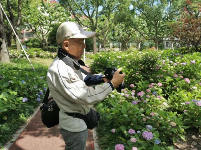 金山的“莫奈花园”，你打卡了吗？