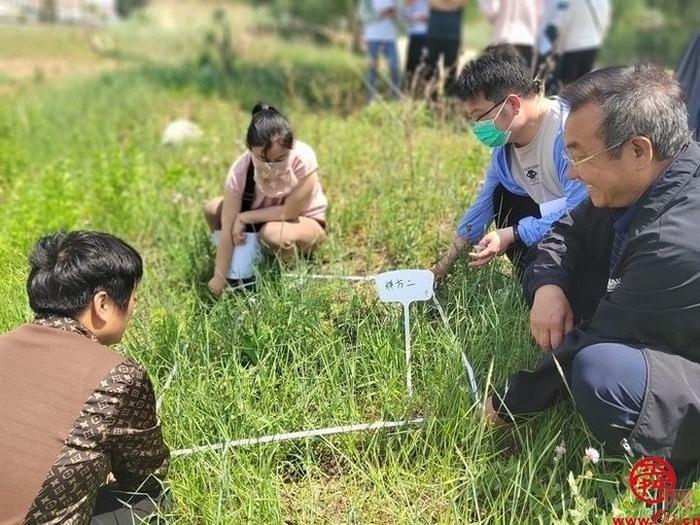 龙洞生物多样性调查 记录各类物种超两千种 发现濒危植物8种