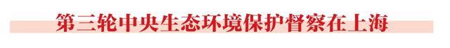 流动性高、执法取证难，“炸街”噪声扰民如何根除