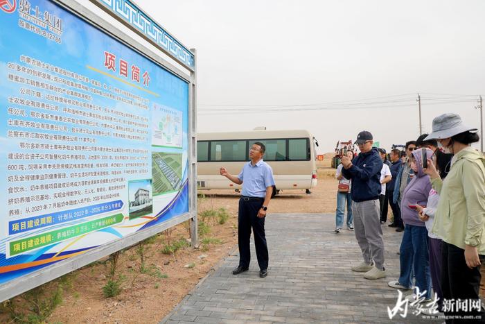 【万千气象看中国•北疆绿潮奔涌】沙漠里正在建设全球单体规模最大的奶牛机器人挤奶养殖示范基地