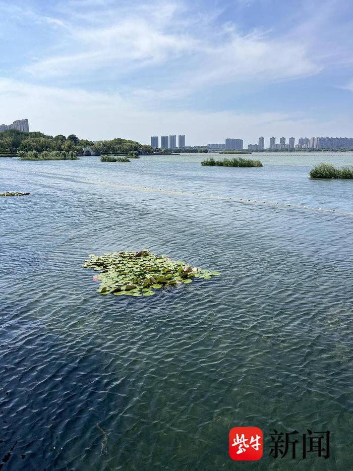 一江清水万重山｜宜兴加大河湖治理，让清澈河流汇入太湖