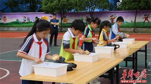 劳动传匠心 实践促成长 中方县第二届中小学生劳动技能大赛总决赛